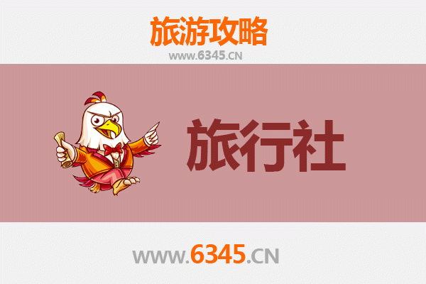 周口沈丘旅游攻略：本地优质旅行社推荐与深度游玩指南