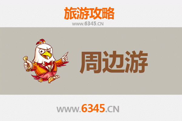 周口沈丘周边游攻略：探索豫东古韵与自然风光