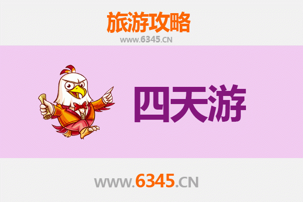 周口沈丘四天三夜深度游攻略：探索豫东文化瑰宝与自然风光