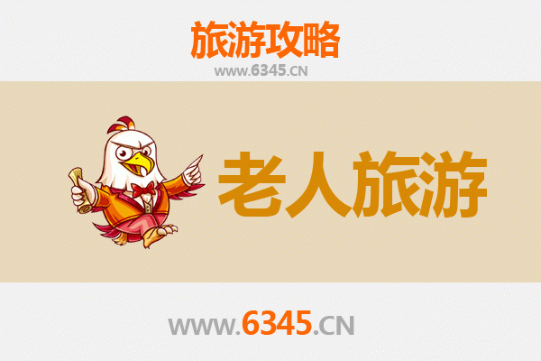 周口沈丘银龄漫游指南：静享古韵乡村的安逸时光