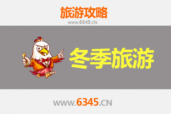 周口沈丘冬季旅游攻略：古韵新风，暖冬之旅